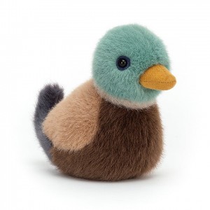 Jellycat Birdling Mallard 10 CM X 7 CM, Jellycat USA | YN6507129