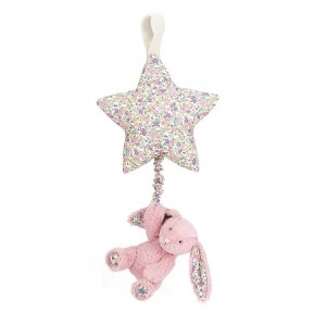 Jellycat Blossom Tulip Bunny Star Musical Pull 28 CM X 19 CM, Jellycat USA | OE7896510