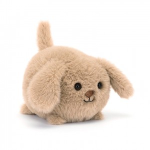 Jellycat Caboodle Puppy 10 CM X 11 CM, Jellycat USA | CQ2754390