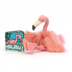 Jellycat If I Were A Flamingo Book and Rosario Flamingo, Jellycat USA | OI9136042