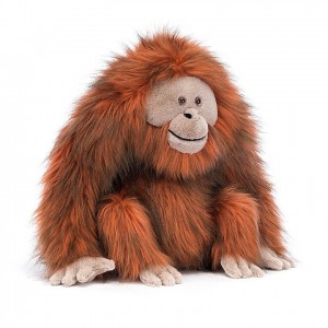 Jellycat Oswald Orangutan 34 CM X 30 CM, Jellycat USA | NC9106485