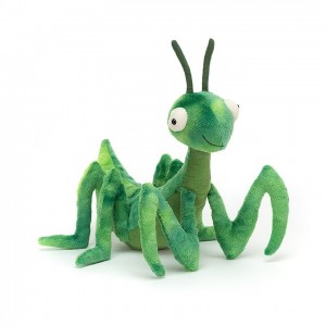 Jellycat Penny Praying Mantis 22 CM X 20 CM, Jellycat USA | YU5690873