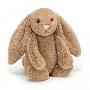 MEDIUM Jellycat Bashful Biscuit Bunny 31 CM X 12 CM, Jellycat USA | IZ5102386