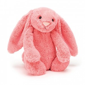 MEDIUM Jellycat Bashful Coral Bunny 31 CM X 12 CM, Jellycat USA | QC4061385