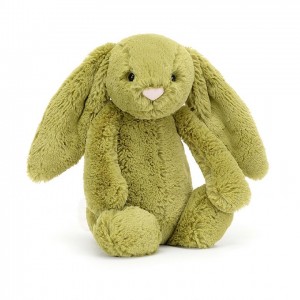 MEDIUM Jellycat Bashful Moss Bunny 31 CM X 12 CM, Jellycat USA | DP9610745