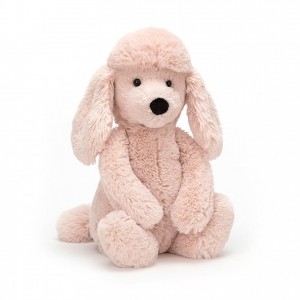 MEDIUM Jellycat Bashful Poodle 31 CM X 12 CM, Jellycat USA | XG5401962