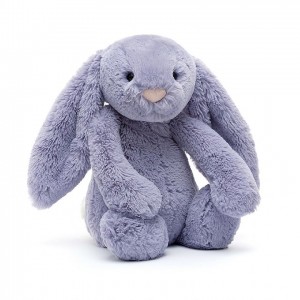 MEDIUM Jellycat Bashful Viola Bunny 31 CM X 12 CM, Jellycat USA | BV1872509