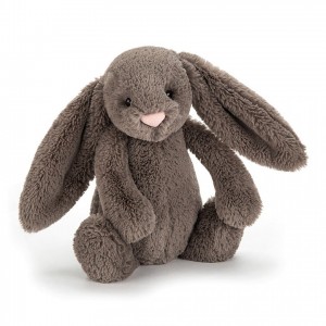 TINY Jellycat Bashful Truffle Bunny 13 CM X 6 CM, Jellycat USA | CP5071469