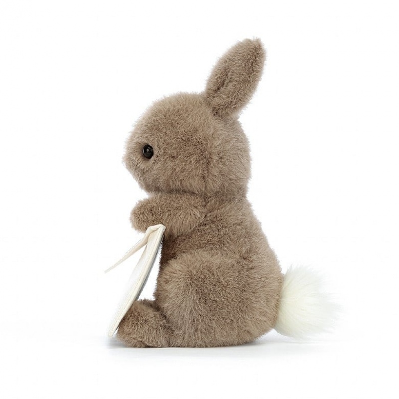 Jellycat Messenger Bunny 19 CM X 12 CM, Jellycat USA | TC5014329