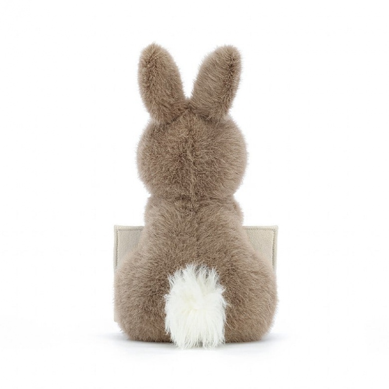 Jellycat Messenger Bunny 19 CM X 12 CM, Jellycat USA | TC5014329