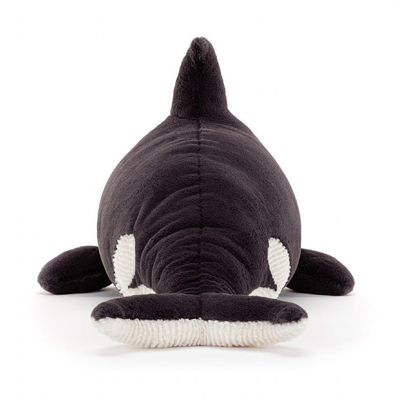 Jellycat Ollivander the Orca 22 CM X 64 CM, Jellycat USA | YG8952403