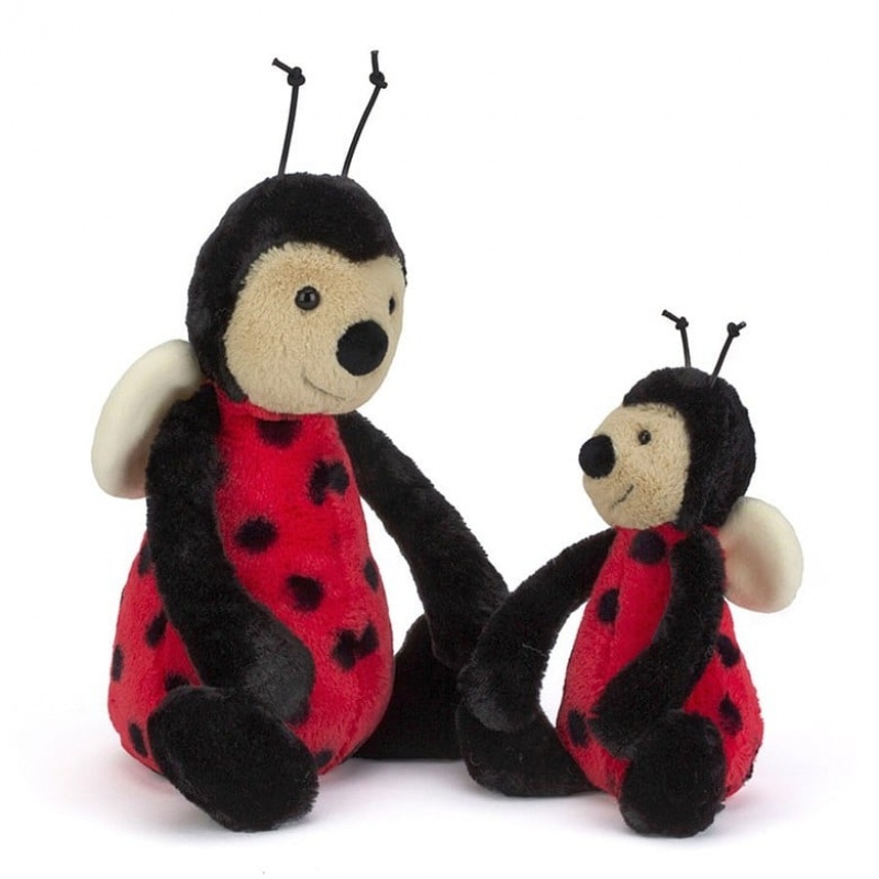 MEDIUM Jellycat Bashful Ladybug 31 CM, Jellycat USA | CB9310847