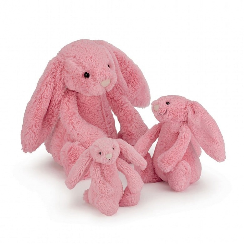 MEDIUM Jellycat Bashful Sorbet Bunny 31 CM X 12 CM, Jellycat USA | AR6542917